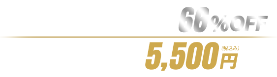 5,500円(税込み)